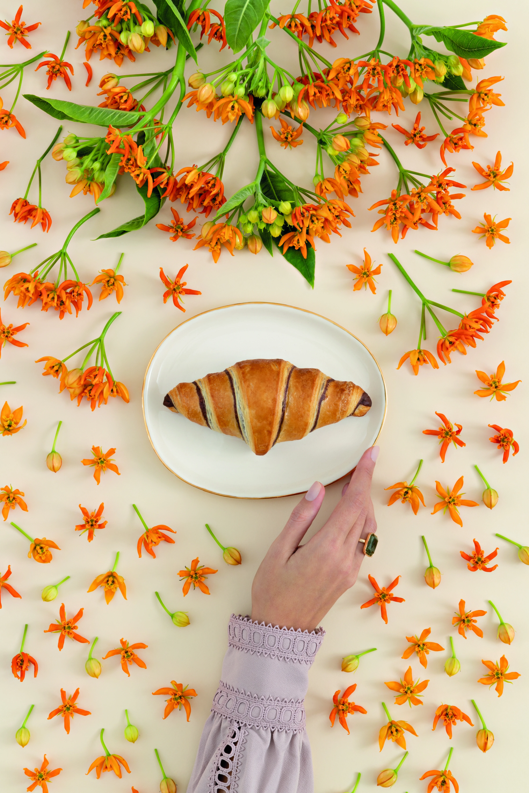 Rodrigo Moro (Bicolored Chocolate Croissant)